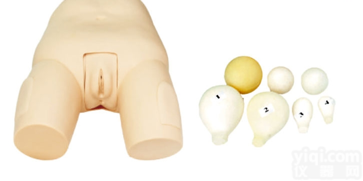 KAH/F31  高级<em>子宫</em>底检查评定<em>模型</em> <em>妇婴</em>