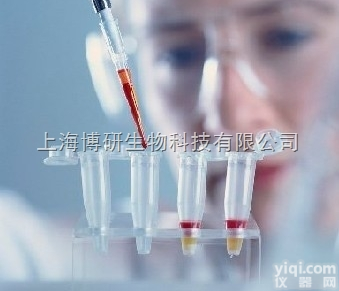 Anti-EpCAM<em>抗体</em>,<em>上皮</em>特异性<em>抗原</em><em>抗体</em>