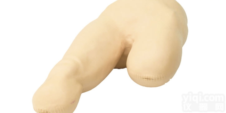 KAH/LV12  高级<em>低位</em><em>包扎</em>模型 临床综合专科