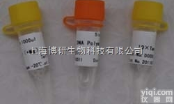 线粒体RNA聚合酶<em>抗体</em>,Anti-mtRNA polymerase<em>抗体</em>