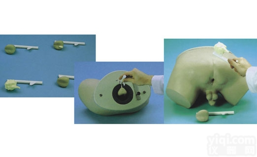 KAH-L63  <em>前列腺检查模型</em> 临床综合专科