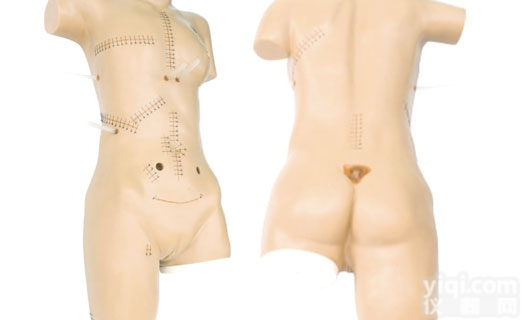 KAH-FH  <em>外科</em><em>缝合</em>包扎展示<em>模型</em> 临床综合专科