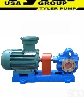 进口齿轮<em>油泵</em> 进口导热<em>油泵</em> 『<em>美国</em><em>油泵</em>品Pai』