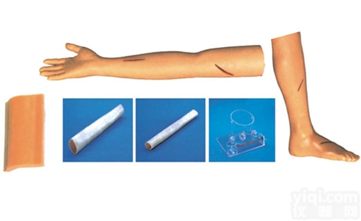 <em>KAH</em>-Y100  <em>外科</em>综合技能训练组合<em>模型</em> 临床综合专科