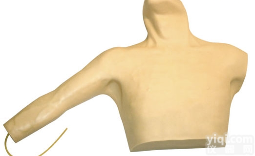 KAH-ZXC  外周<em>穿刺</em>、ZX静脉<em>穿刺</em><em>插管</em><em>模型</em> 临床综合专科