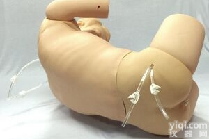 KAH/CK811  <em>腰椎</em><em>穿刺</em><em>仿真</em>标准化病人 临床综合专科