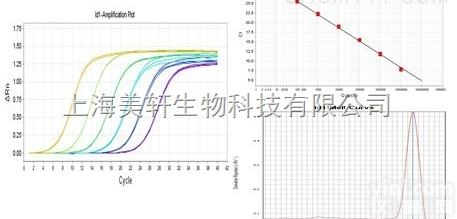 mRNA<em>荧光定量PCR</em>/RT-PCR/实时荧光定量pcr/QPCR/荧...