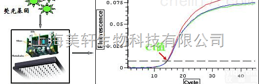 <em>lncRNA</em><em>实时</em><em>定量</em>PCR检测/LncRNA RT-PCR
