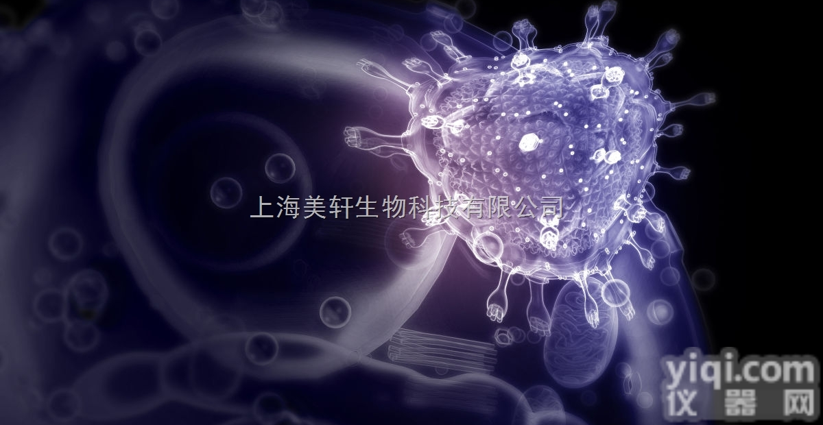 lncRNA<em>干扰</em>慢病毒包装/ lncRNA<em>干扰</em>慢病毒<em>构建</em>/RNAi病毒...