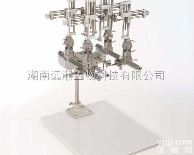 Stoelting大<em>动物</em>数脑立体<em>定位仪</em>51800 进口脑立体<em>定位仪</em> S...