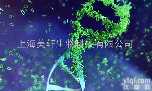 siRNA干扰套餐/化学<em>合成</em>siRNA干扰<em>序列</em>/干扰<em>序列</em><em>合成</em>