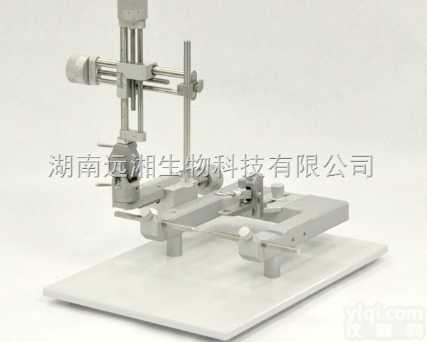 高精度小鼠脑<em>立体</em><em>定位仪</em> Stoelting脑<em>立体</em><em>定位仪</em>