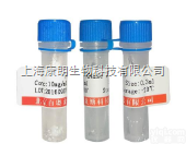 绿如蓝<em>核酸</em><em>染料</em>（<em>可见光</em>型）