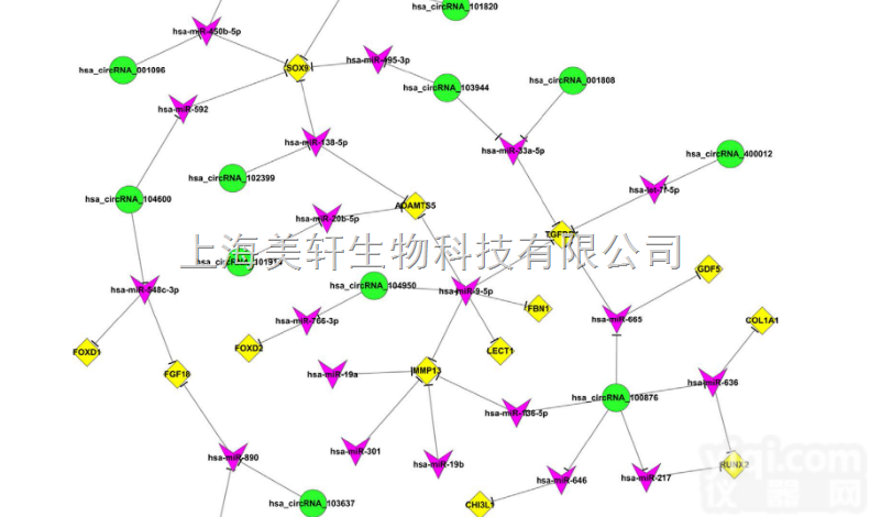Small RNA<em>测序</em>/小RNA<em>测序</em>/microRNA<em>测序</em>/miRNA...