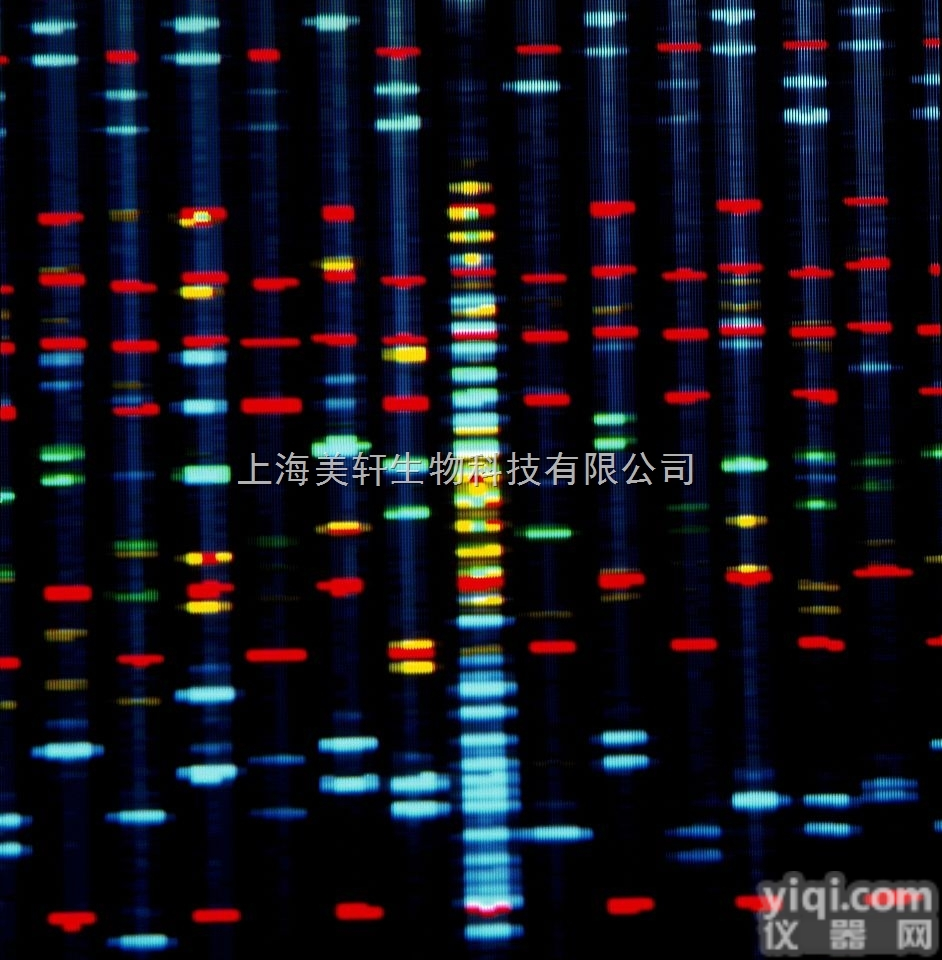 因组重<em>测序</em>/二代<em>测序</em>/高<em>通量</em><em>测序</em>