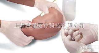 婴儿<em>腰部</em><em>穿刺</em><em>模型</em>1