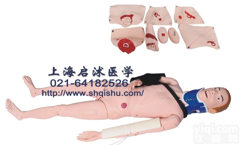 QS/245  闭合式四肢骨折固定训练<em>模型</em>|四肢骨折<em>急救</em>外固定<em>模型</em>