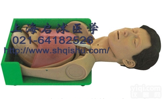 QS/H375001  透明<em>洗胃</em>、胃肠减压仿真标准化病人|透明<em>洗胃</em>训练<em>模型</em>