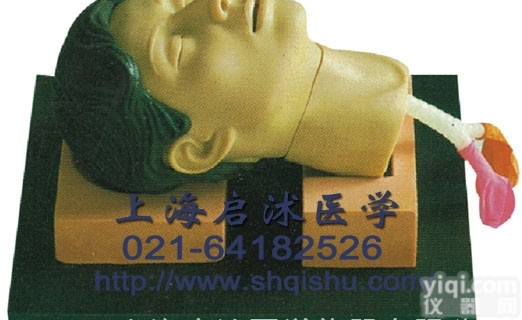 QS-CK1261  环甲膜<em>穿刺</em>和<em>切开</em>训练仿真<em>模型</em>|气管插管训练<em>模型</em>