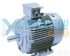 <em>西纳</em>进口<em>荷兰</em>Omec Motors高压电动机