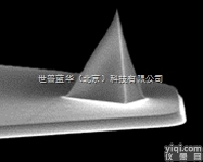 ScanAsyst-Fluid  <em>布鲁克</em>AFM探针液体中智能扫描<em>成像</em>