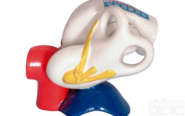 KAH2092  <em>中耳</em><em>解剖</em>放大