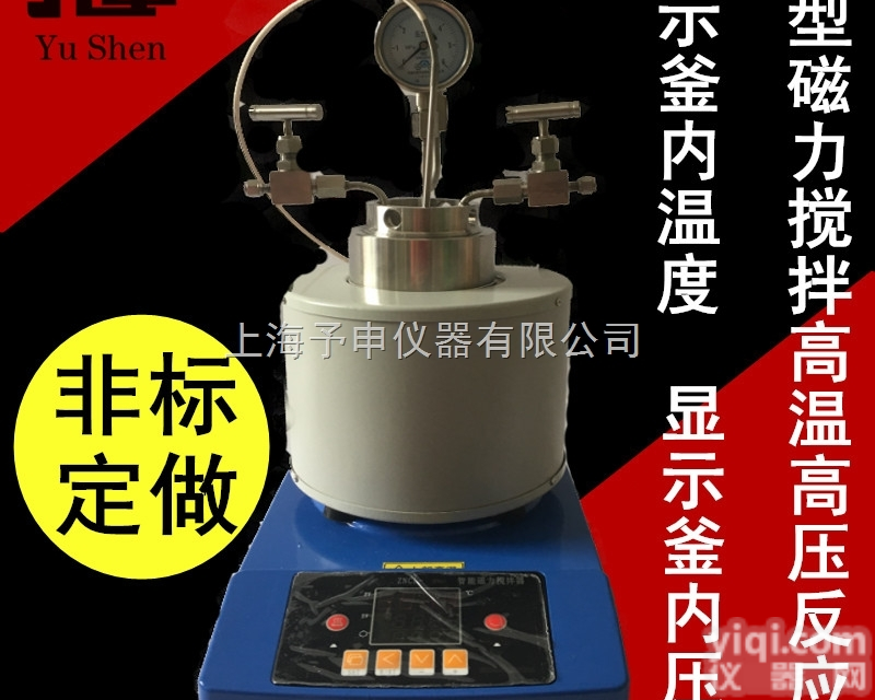 微型<em>磁力搅拌</em><em>高温高压</em>反应釜