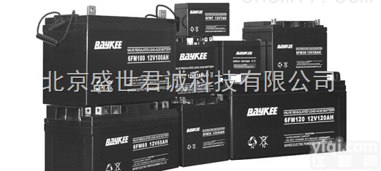 6FM38  BAYKEE<em>蓄电池</em>6FM38 12V38AH参考<em>说明书</em>尺寸