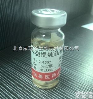 0.5ml/瓶  中监所鸡抗网状内皮组织增生症<em>病毒</em>（REV）阳性<em>血清</em>