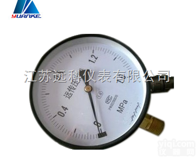 YTZ-150 <em> YTZ-150远传压力表</em>
