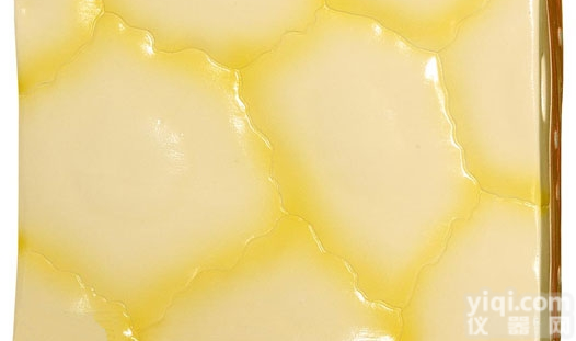 KAH5053  <em>单层</em><em>扁平</em><em>上皮组织</em> 生物模型