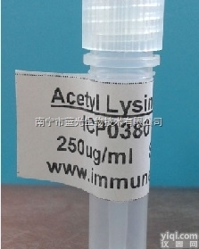 ICP0390  <em>乙酰</em>化<em>赖氨酸</em><em>单克隆</em>抗体