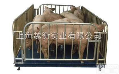 畜牧场用带<em>围栏</em>的地磅 2吨<em>不锈钢</em>电子地磅多少钱