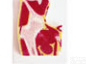 SMD02549  髋关节<em>剖面</em>模型  <em>教学模型</em>
