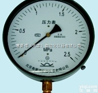 Y-250  布莱迪250<em>表盘</em><em>压力表</em>Y-250