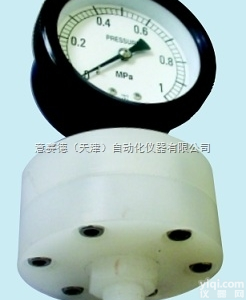 YTP-75BSF  <em>布莱迪</em>全塑隔膜<em>压力表</em>YTP-75BSF