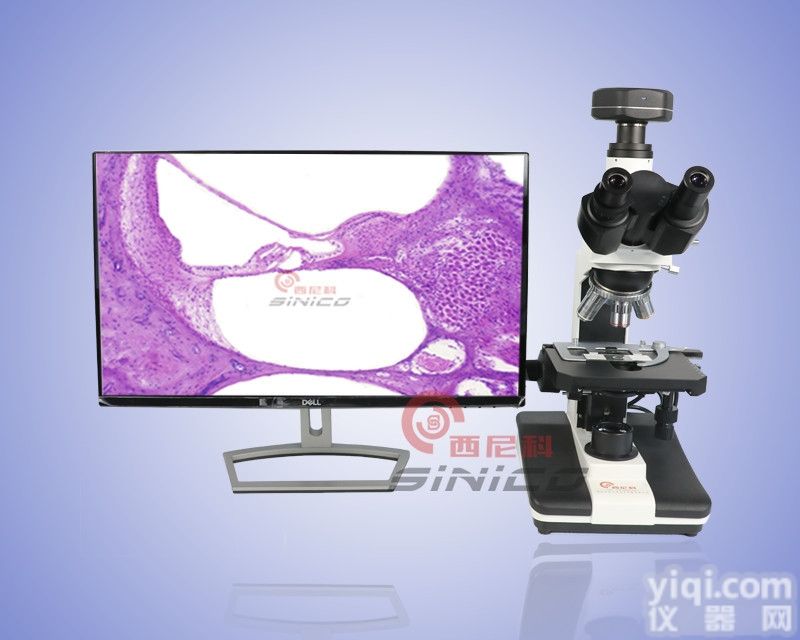 XK-SW003  暗场生物<em>显微镜</em> 三目暗场<em>显微镜</em> <em>高倍</em>可拍照 /<em>显微镜</em>