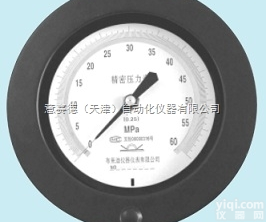 YB-150.AO.200  <em>布莱迪</em>精密<em>压力表</em>YB-150.AO.200