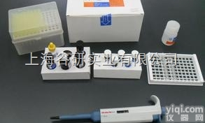 大鼠<em>尿激酶</em>型纤溶酶原激活物（uPA）酶联免疫elisa试剂盒<em>图片</em>