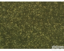 <em>小鼠原代淋巴管内皮细胞</em>