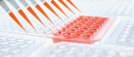 土壤DNA检测<em>服务项目</em>