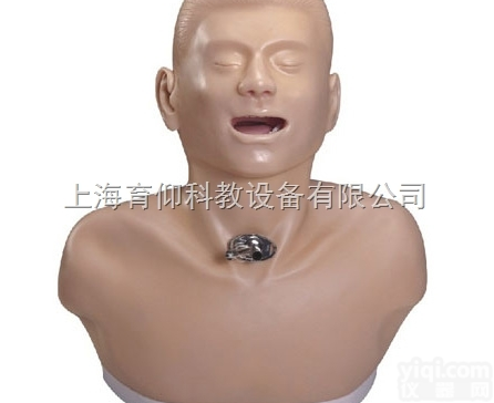 高级成人<em>气管</em><em>切开</em><em>护理模型</em>|<em>气管</em>插管模型