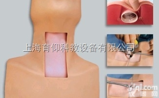 高级<em>气管</em>切开<em>插管</em>训练<em>模型</em>|<em>气管</em><em>插管</em><em>模型</em>