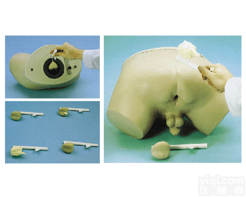 前列腺<em>检查</em><em>模型</em>|临床<em>诊断</em>实训<em>模型</em>