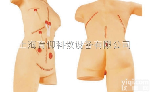 外科缝合<em>包扎</em>展示<em>模型</em>|临床诊断实训<em>模型</em>