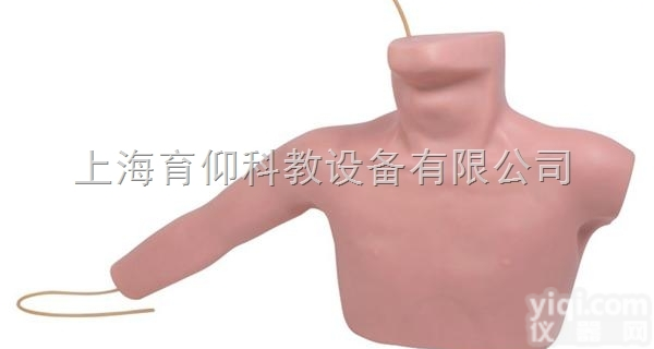 外周<em>穿刺</em>、ZX静脉<em>穿刺</em>插管<em>训练</em><em>模型</em>|临床诊断实训<em>模型</em>