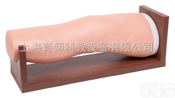 <em>膝关节</em>腔内注射<em>模型</em>|临床诊断实训<em>模型</em>