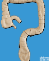 乙状结肠镜<em>检查</em><em>模型</em>|临床<em>诊断</em>实训<em>模型</em>