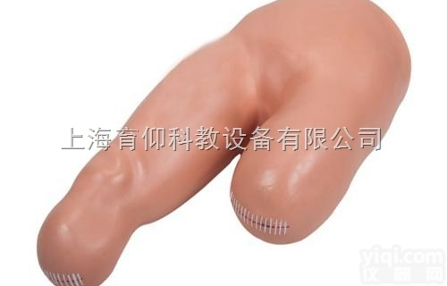 高级低位<em>包扎</em><em>模型</em>|临床诊断实训<em>模型</em>