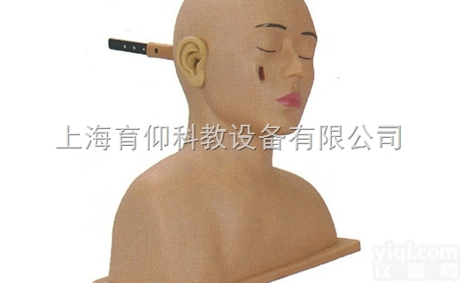 高级耳<em>诊断</em><em>模型</em>|临床<em>诊断</em>实训<em>模型</em>
